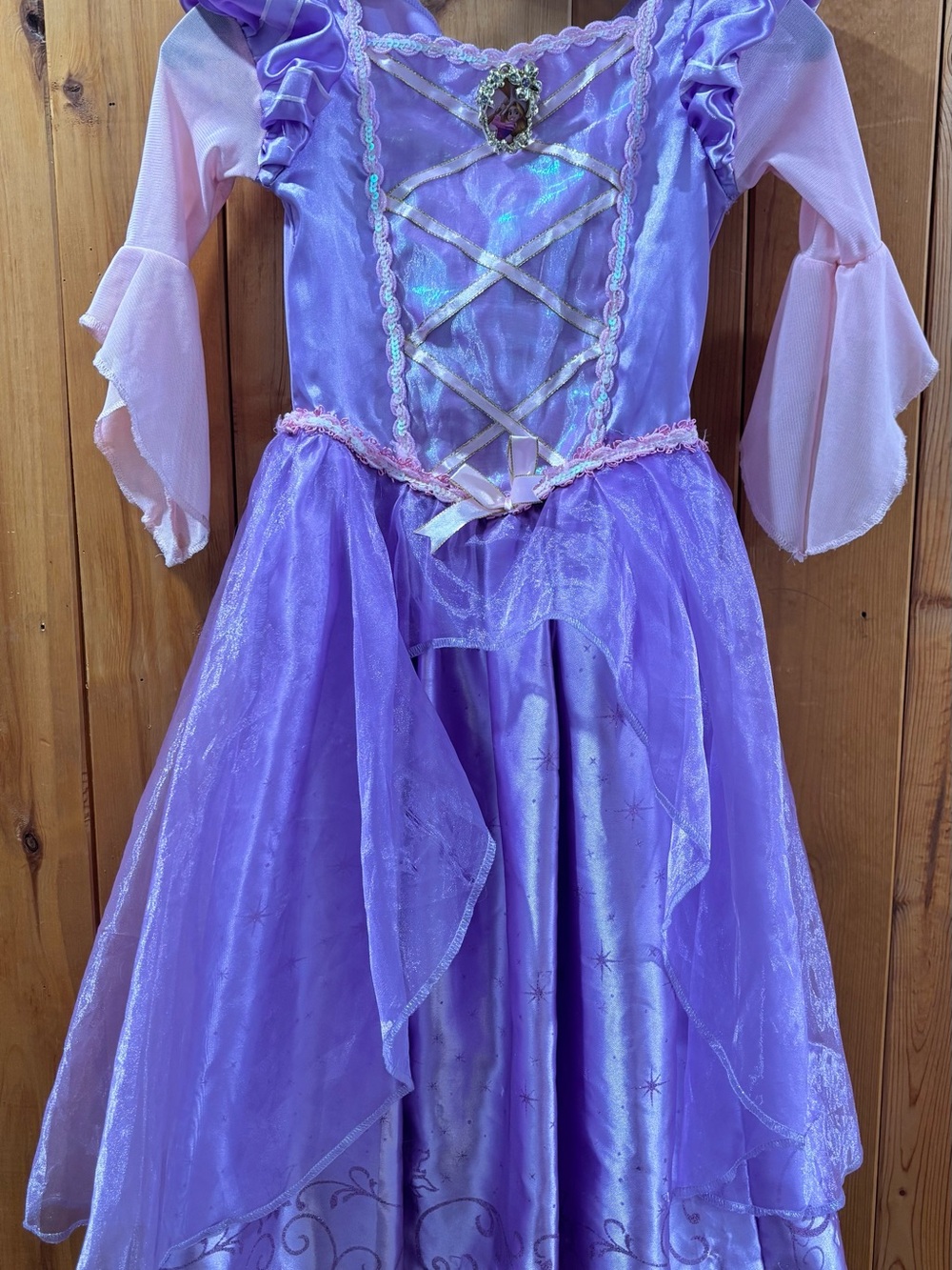 Disney Lilac and Pink Princess Dress Costume